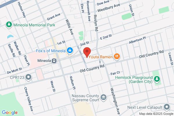 Levitt Steven Attorney