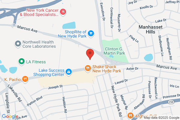 Manhattan Spine & Pain Medicine- New Hyde Park