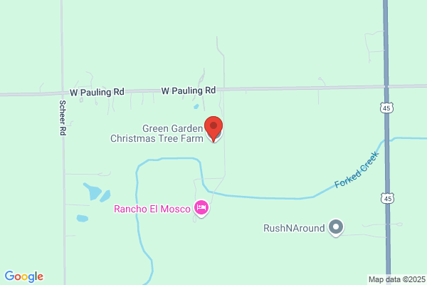 Green Garden Christmas Tree Farm