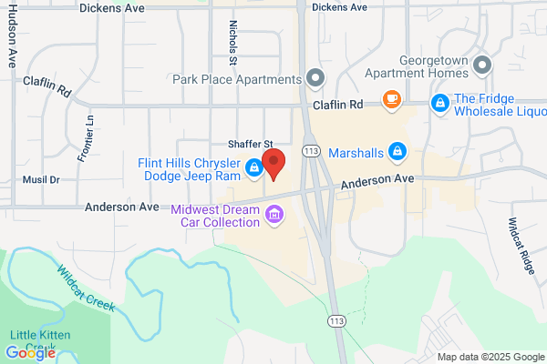 Advance Auto Parts