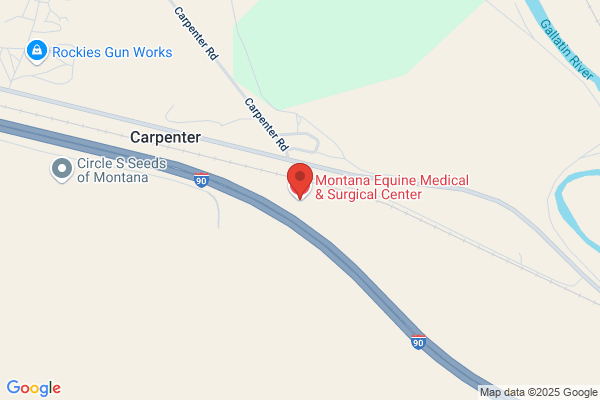 Alpine Equine Veterinary