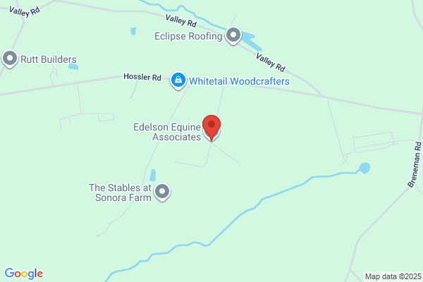Edelson Equine Associates