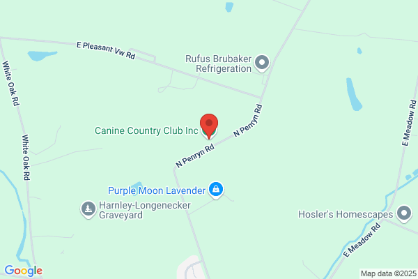 Canine Country Club