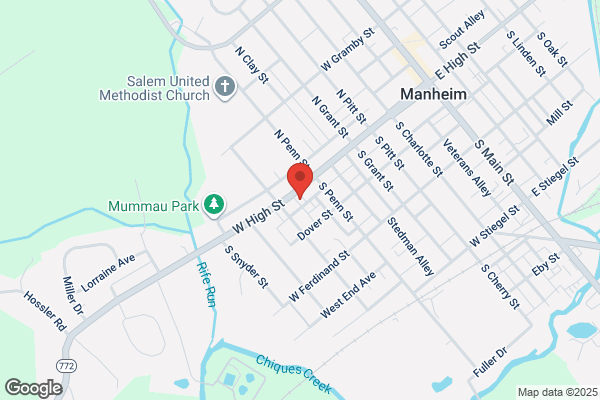 Manheim Auto Sales and Service Inc