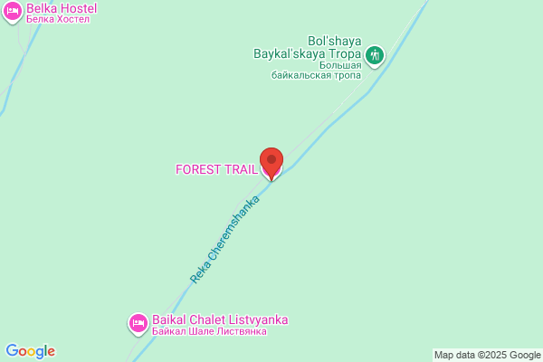 Forest Trail