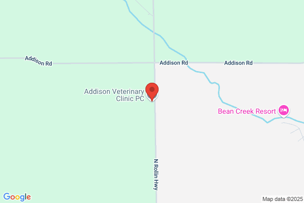 Addison Veterinary Clinic PC