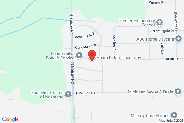 Acorn Ridge Taxidermy