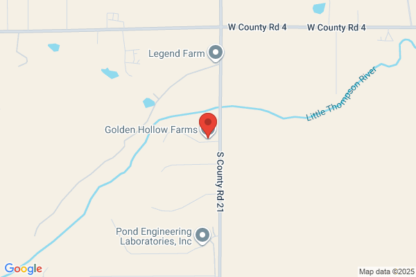 Golden Hollow Farm