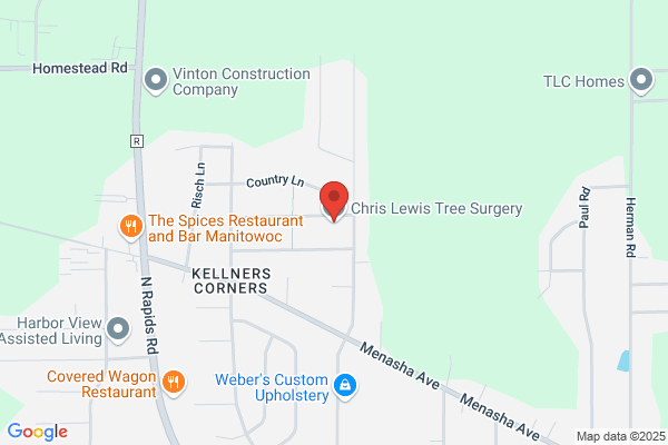 Chris Lewis Tree Surgery LLC
