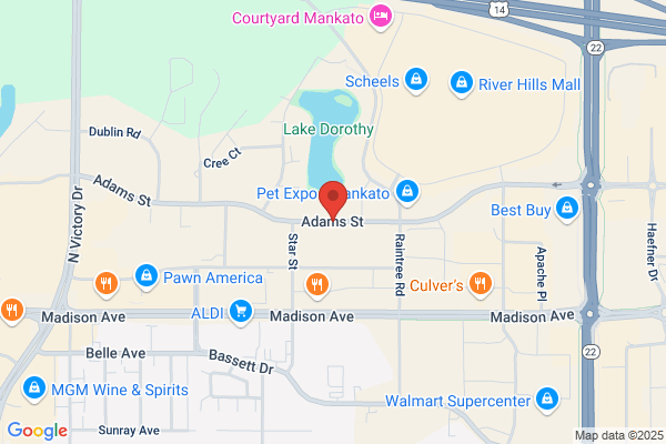 Wilsons the Leather Expert