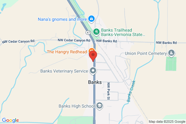 NAPA Auto Parts - Banks Auto Parts - Closed