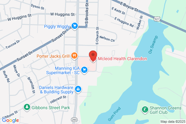 Palmetto Women's Healthcare PA
