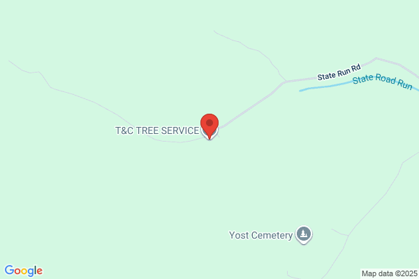#1 T&C Tree Service LLC