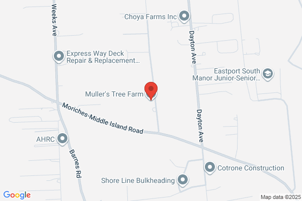 Mullers Tree Farm