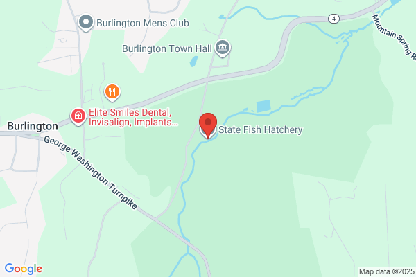 Buttonball Trout Hatchery
