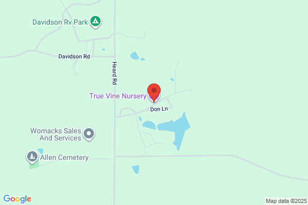 True Vine Nursery