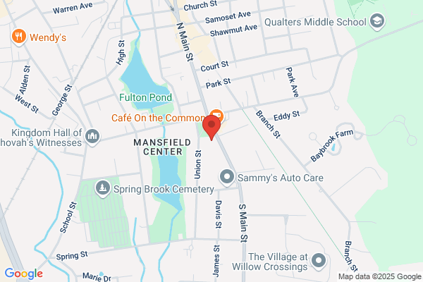 Mansfield Town of, Town Treasurer
