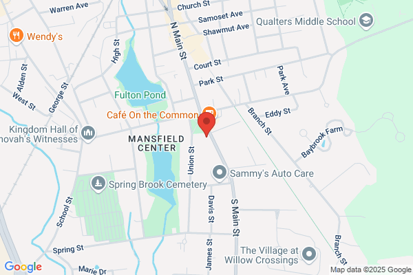 Mansfield Town of, Town Clerk
