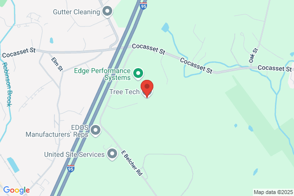 Tree Tech Inc