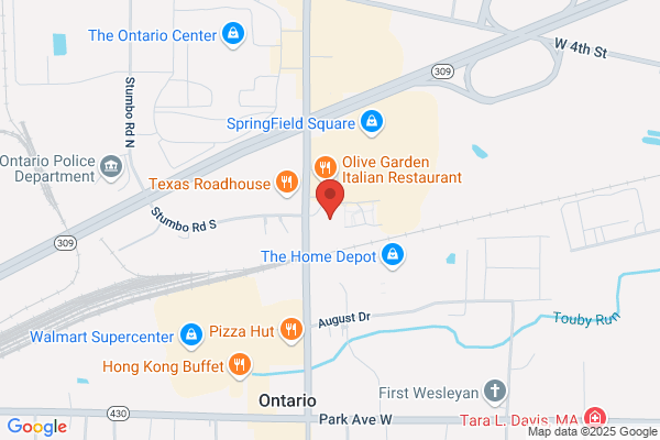Advance Auto Parts