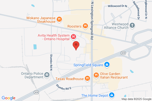 Freedom Wireless Inc