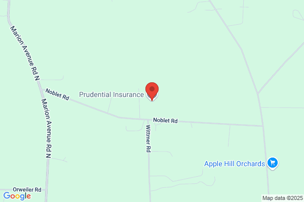 Prudential Financial, Agent