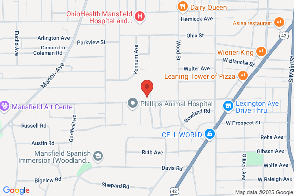 Martz Bryan D DDS Ms