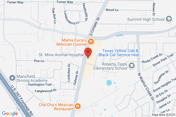 St. Mina Animal Hospital