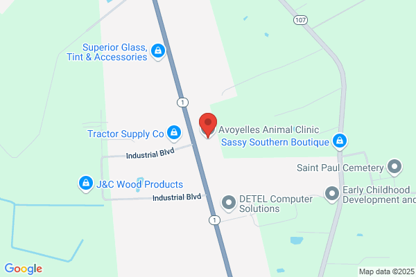 Avoyelles Animal Clinic