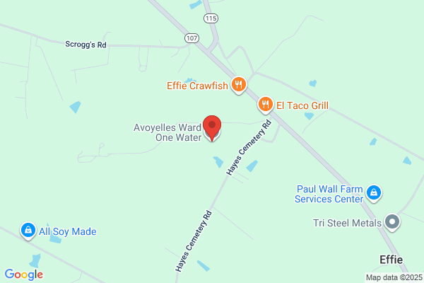 Avoyelles Ward One Water System Inc
