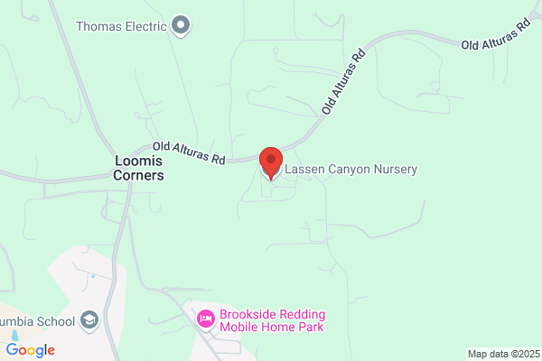 Lassen Canyon Nursery