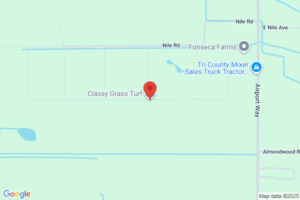 Classy Grass