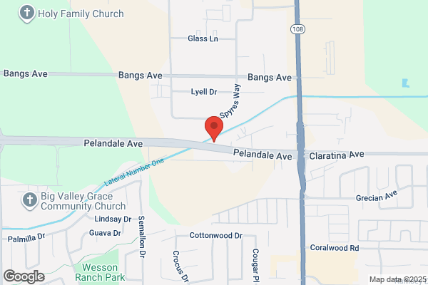 Valley Pest Solutions