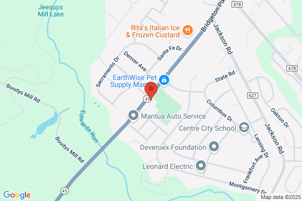 Fancy Paws