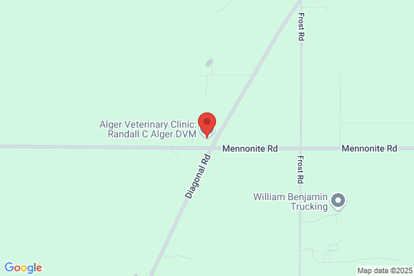 Alger Randall C DVM