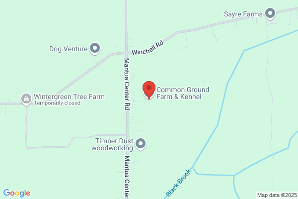 Common Ground Farm & Kennel