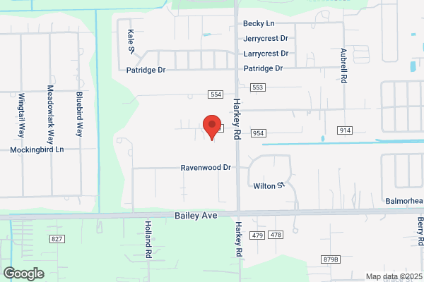 Toilet Repair Manvel TX