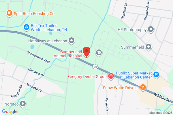 Cumberland Animal Hospital