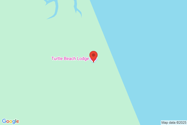 Turtle Beach Lodge