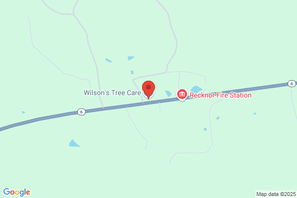Wilson's Tree Service