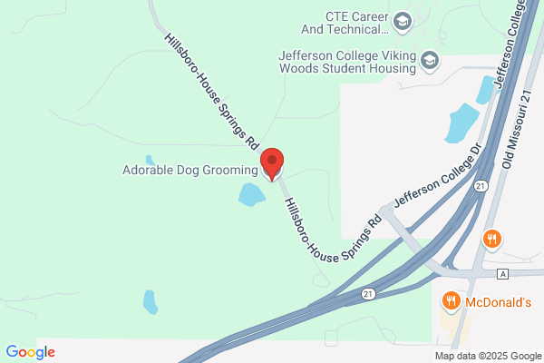 Adorable Dog Grooming