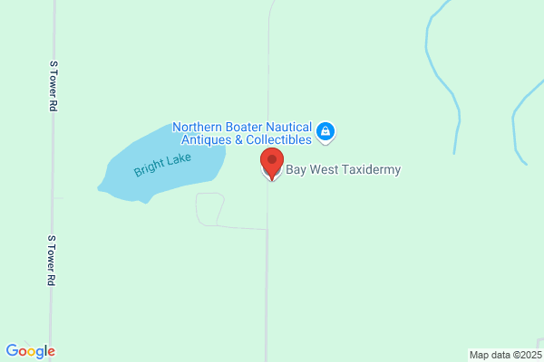 Bay West Taxidermy