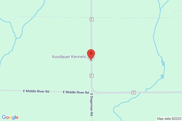 Ausdauer Kennels