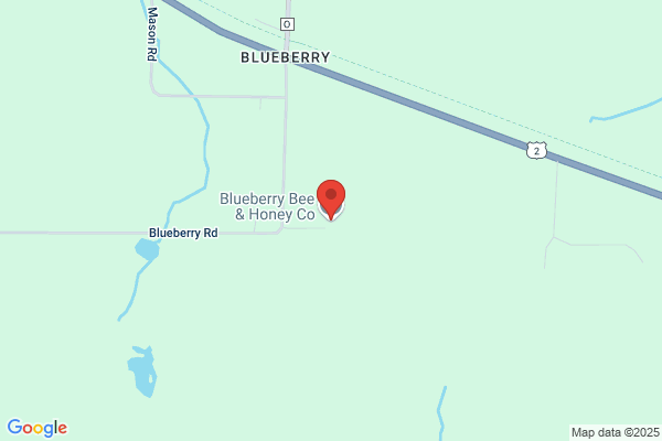 Blueberry Store