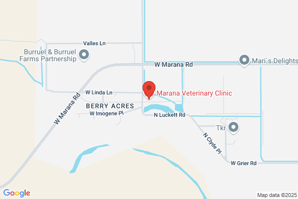 Marana Veterinary Clinic