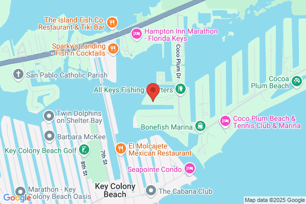 LFish Charters