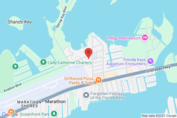 Ocean Breeze Party Rentals