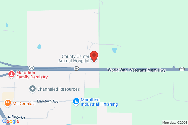 County Center Animal Hospital