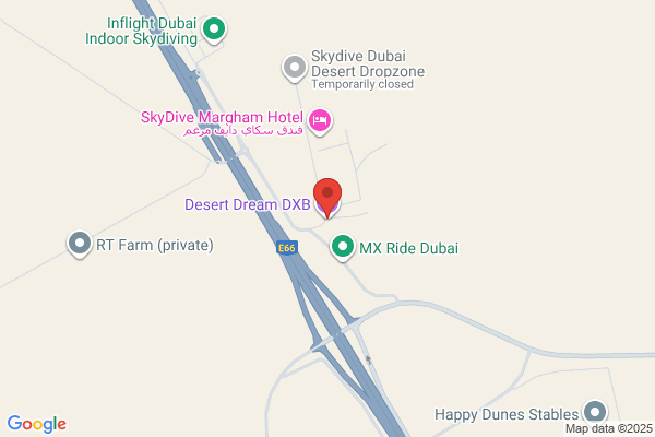Desert Celebration