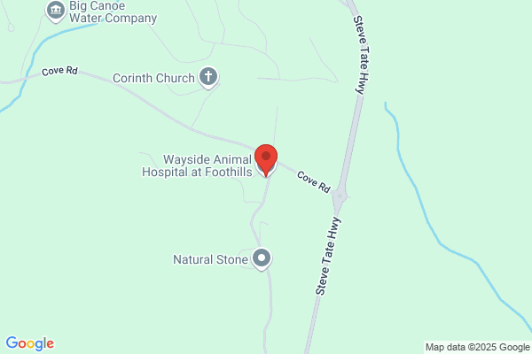 Animal Clinic At Foothills